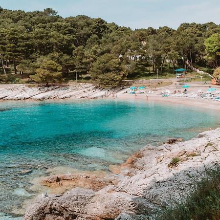 Studio Apartment Pinetree - Mali Lošinj Kültér fotó